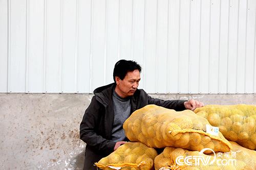 Potatoes placed in potato storage pits